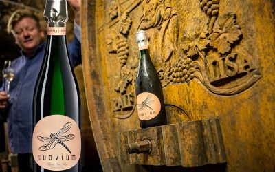 Top 10 | Sekt Rosé brut nature & extra brut