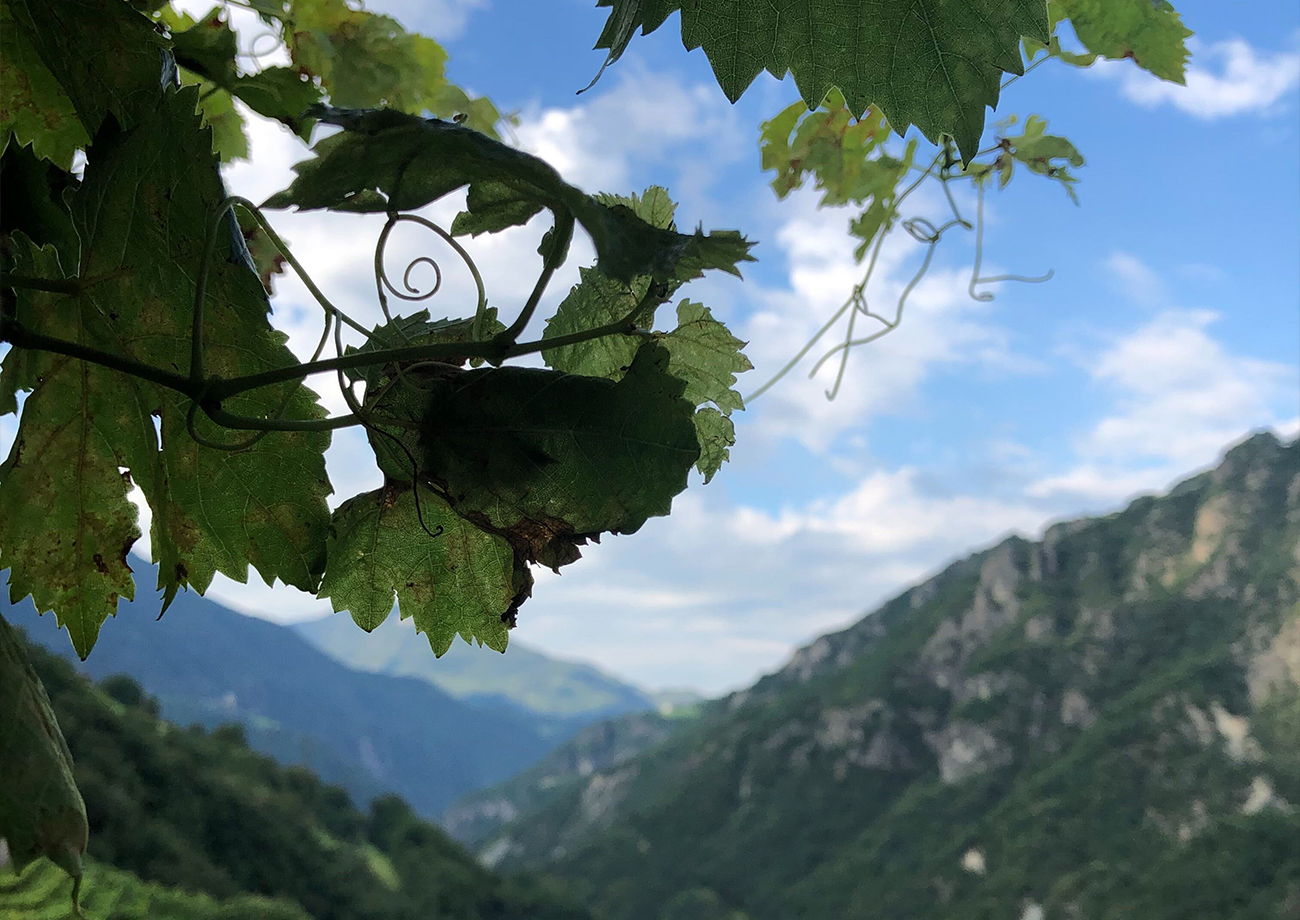 Suedtirol