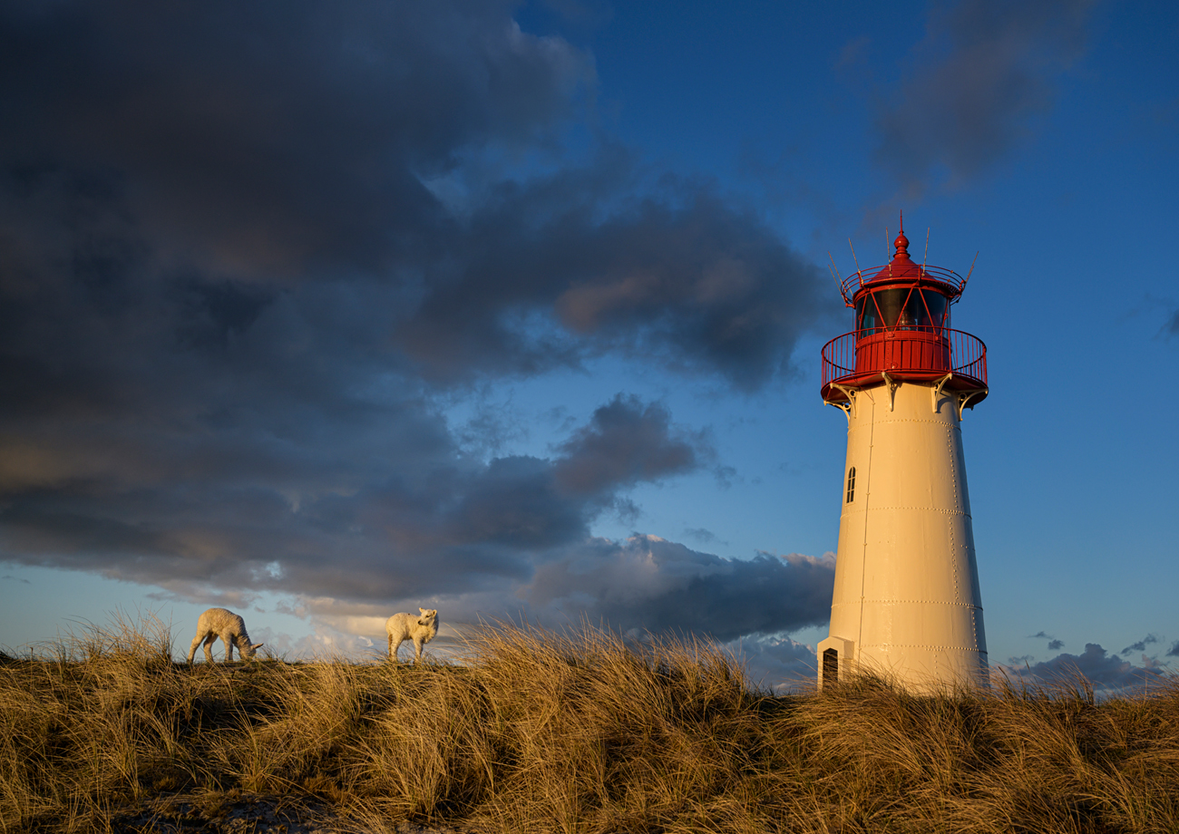Insel Sylt
