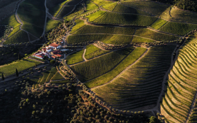 Bordeaux trifft Douro