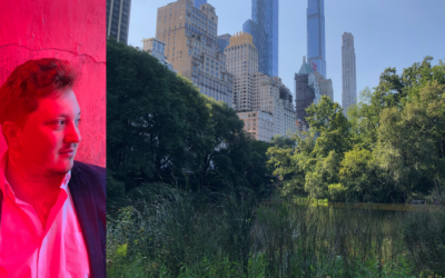 Feuer, Farmen, Panorama – Auf Trendjagd in New York