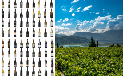 Etappe 4: Drink the Mountains!