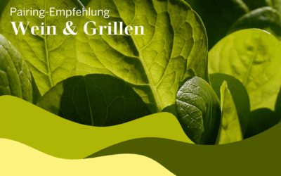 Perfect Pairings: Salate & Frühlingsweine im Duett